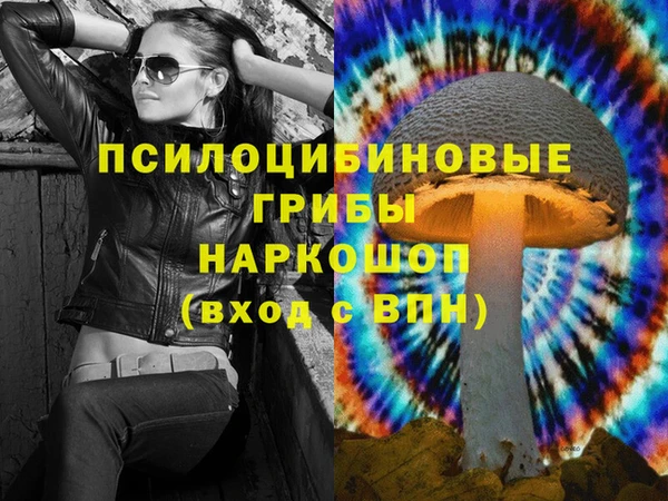 мдпв Арсеньев