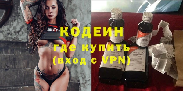 a pvp Ельня
