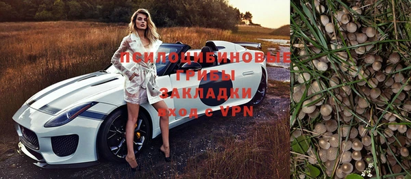 не бодяженный Аркадак