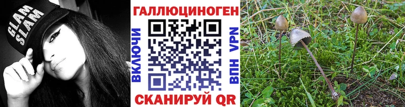 Галлюциногенные грибы MAGIC MUSHROOMS  Славгород 